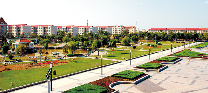 黃驊市南排河鎮(zhèn)趙家堡、賈家堡村民聯(lián)建工程